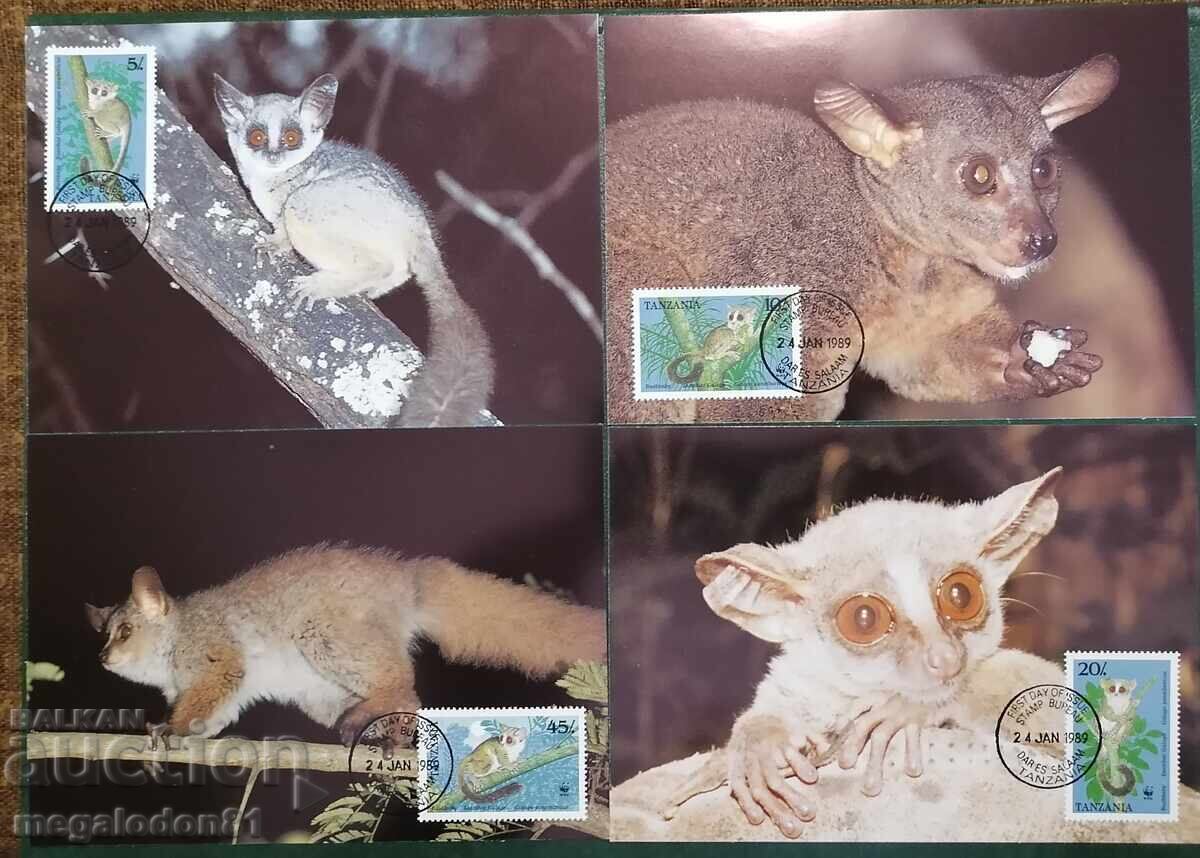 Τανζανία - WWF πανίδα, ζανζιβαρινό γαλάγο, καρτ μαξιμούμ Τανζανία - WWF πανίδα, ζανζιβαρινό γαλάγο, καρτ μαξιμούμ