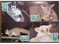 Tanzania - WWF fauna, Zanzibar galago, maximum cards