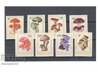 Mushrooms 1962 - unserrated