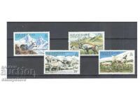 Falkland Islands - Fauna