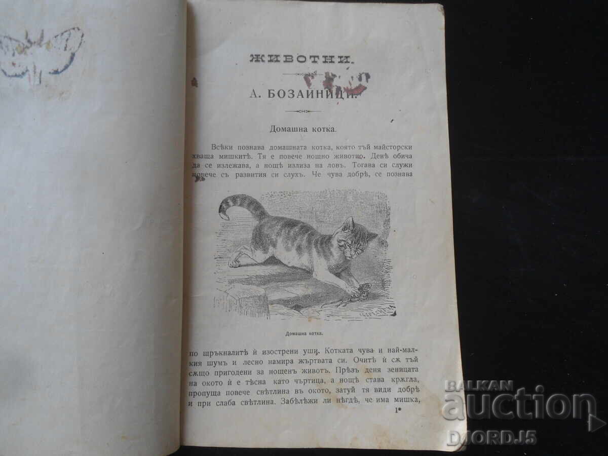 Manual de ISTORIE NATURALĂ pentru clasa I, anul 1905 cu preț 35.00 BGN | € 17.90