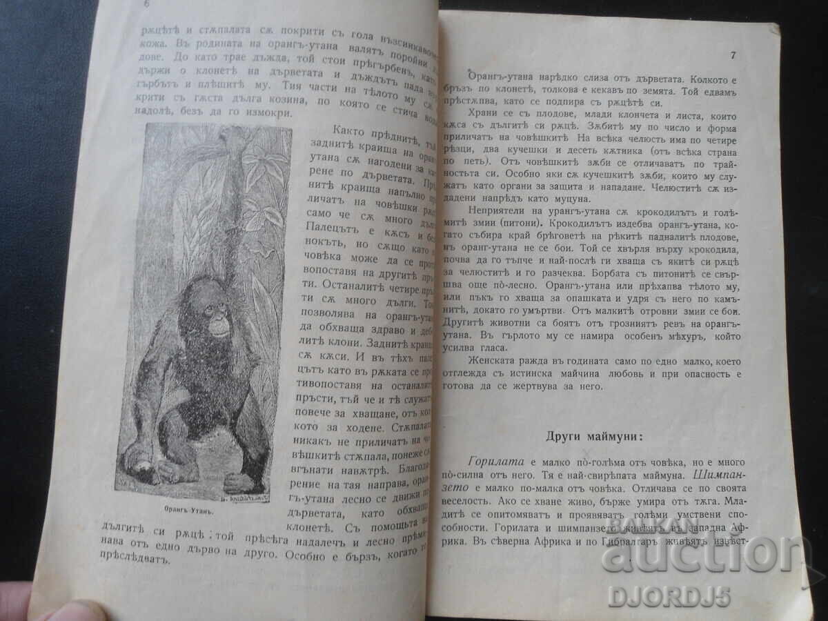 Licitație Manual de ISTORIE NATURALĂ pentru clasa I, anul 1905
