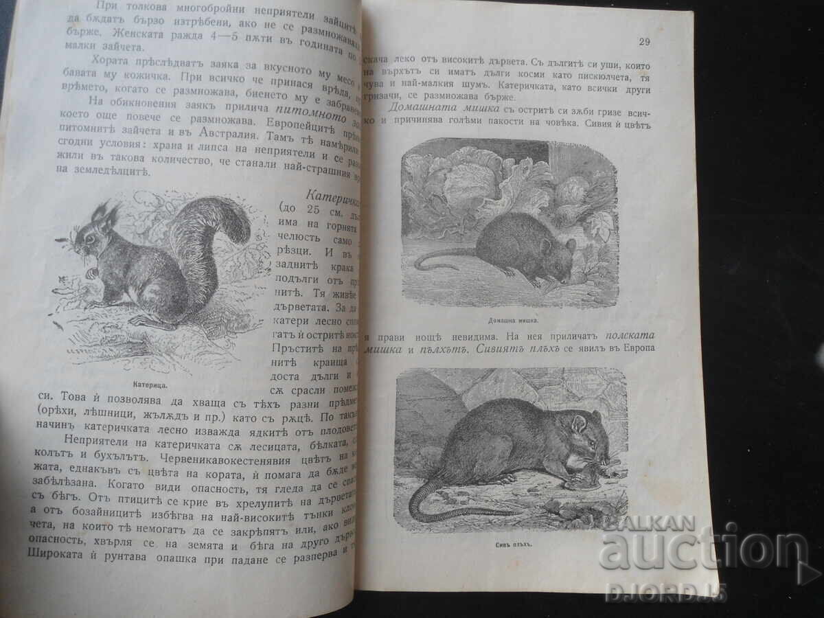 Manual de ISTORIE NATURALĂ pentru clasa I, anul 1905 - 5