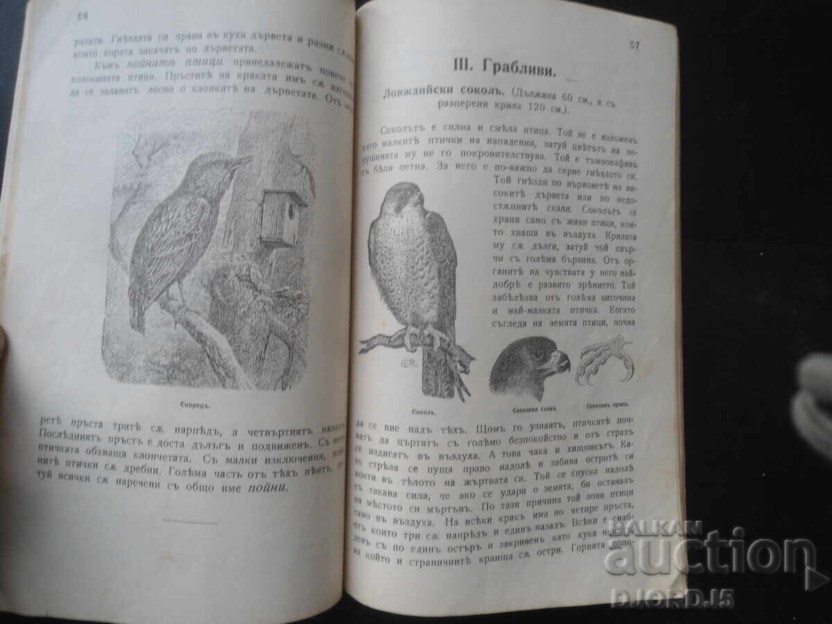 Manual de ISTORIE NATURALĂ pentru clasa I, anul 1905 - 6