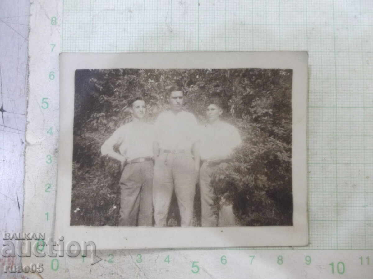 Photo of three young men in front of old bushes Photo of three young men in front of old bushes