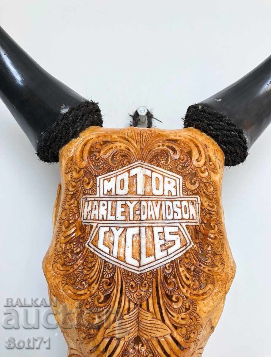 Hand-carved skull - 6