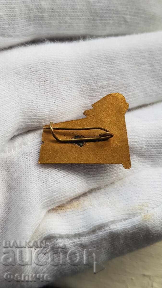 Аукцион Колекционен знак, значка 15 години Пионерски Дом Сливен