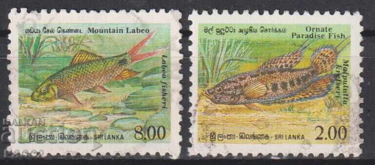 Timbre ștampilate Faună Pești 1990 din Sri Lanka Timbre ștampilate Faună Pești 1990 din Sri Lanka