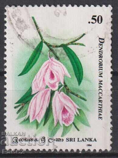 Stamped Flora Flowers 1994 stamp from Sri Lanka Stamped Flora Flowers 1994 stamp from Sri Lanka