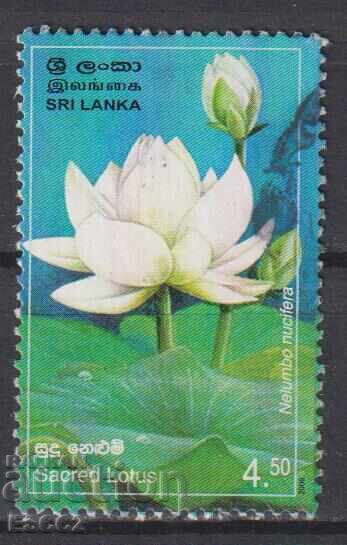 Timbrul poștal marcat Flora Floare de Lotus 2006 din Sri Lanka Timbrul poștal marcat Flora Floare de Lotus 2006 din Sri Lanka