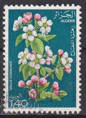 Timbre poștal timbrat Flora 1978 din Algeria Timbre poștal timbrat Flora 1978 din Algeria