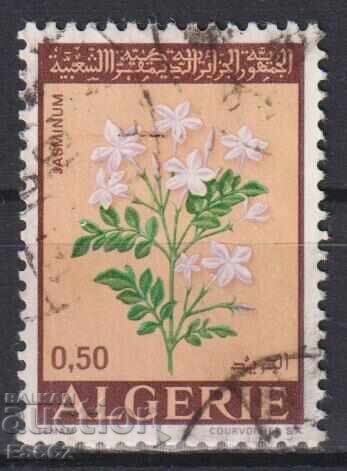 Flora 1972 stamped stamp from Algeria