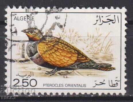 Σφραγισμένη γραμματόσημο Φαύνα Πουλιά 1976 από Αλγερία