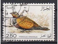 Клеймована марка Фауна Птица 1976  от Алжир