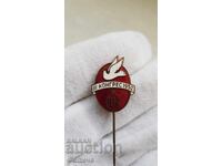 Semn foarte rar, insignă al III-lea Congres 1952