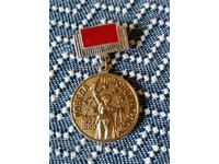 WW2 Insigna Victoria sub Stalingrad 1943-1983