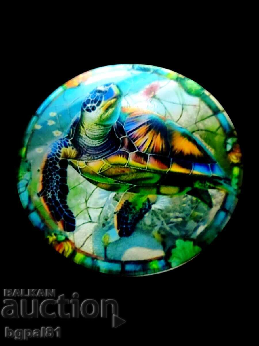  УНИКАЛНИ МАГНИТИ С МОРСКИ КОСТЕНУРКИ  с цена 35.00 лв. | € 17.90