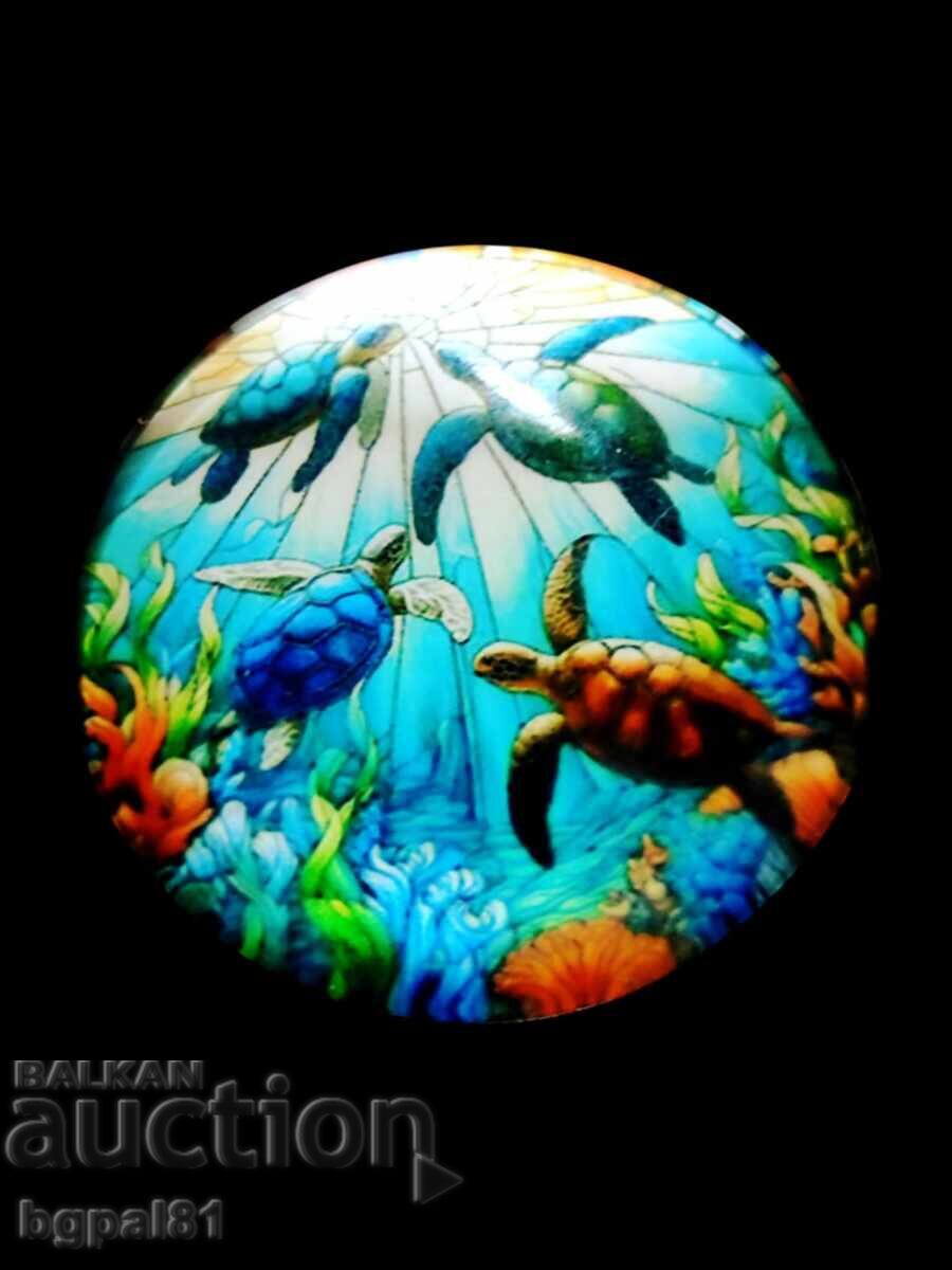 Аукцион  УНИКАЛНИ МАГНИТИ С МОРСКИ КОСТЕНУРКИ 