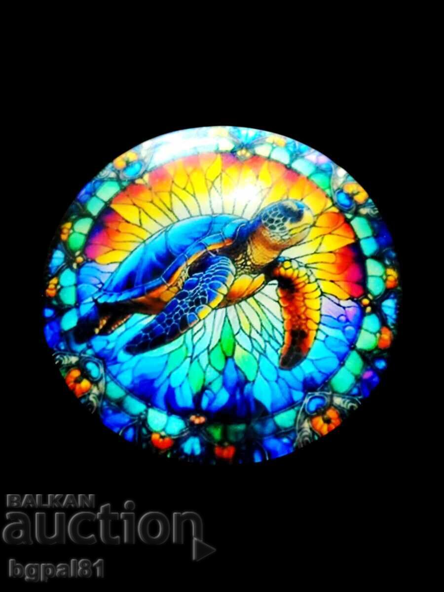 Доставка на  УНИКАЛНИ МАГНИТИ С МОРСКИ КОСТЕНУРКИ 