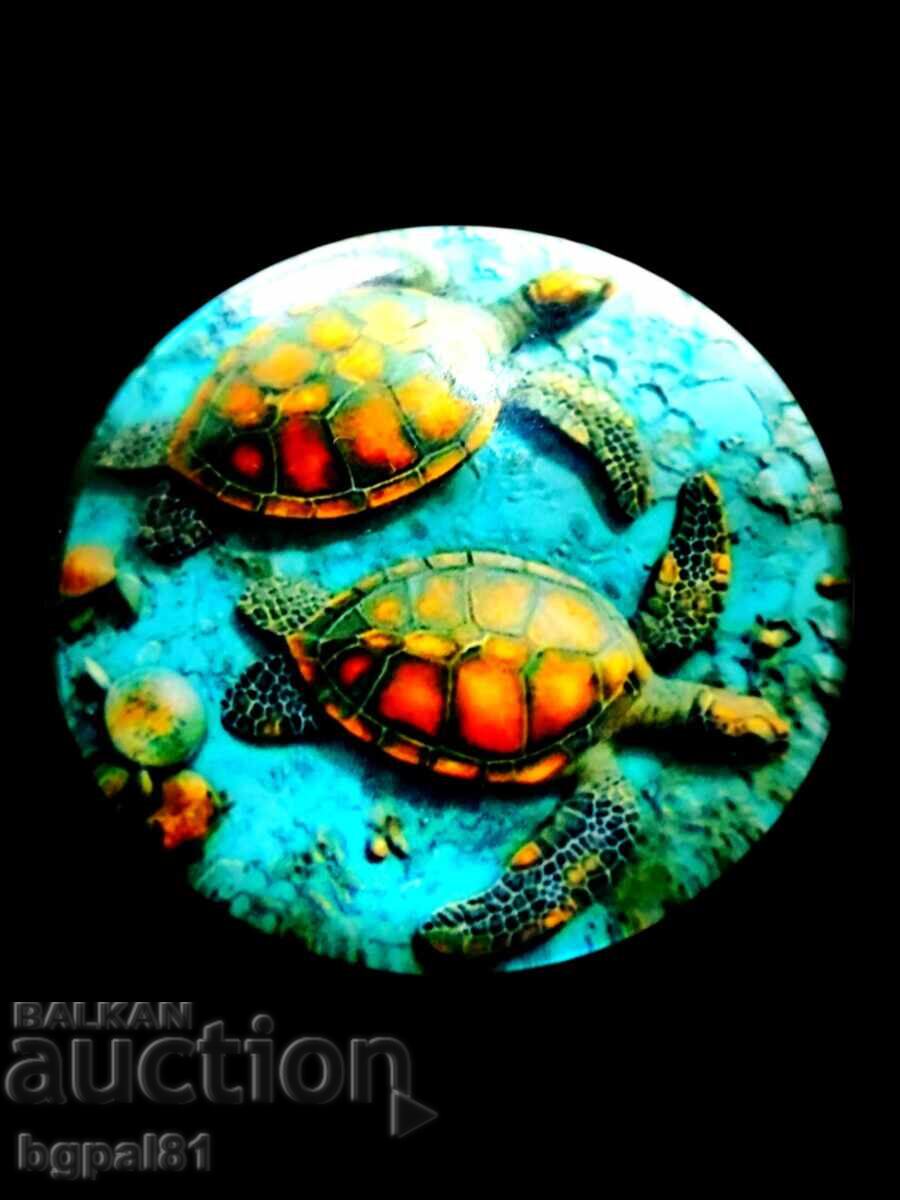  УНИКАЛНИ МАГНИТИ С МОРСКИ КОСТЕНУРКИ  - 5