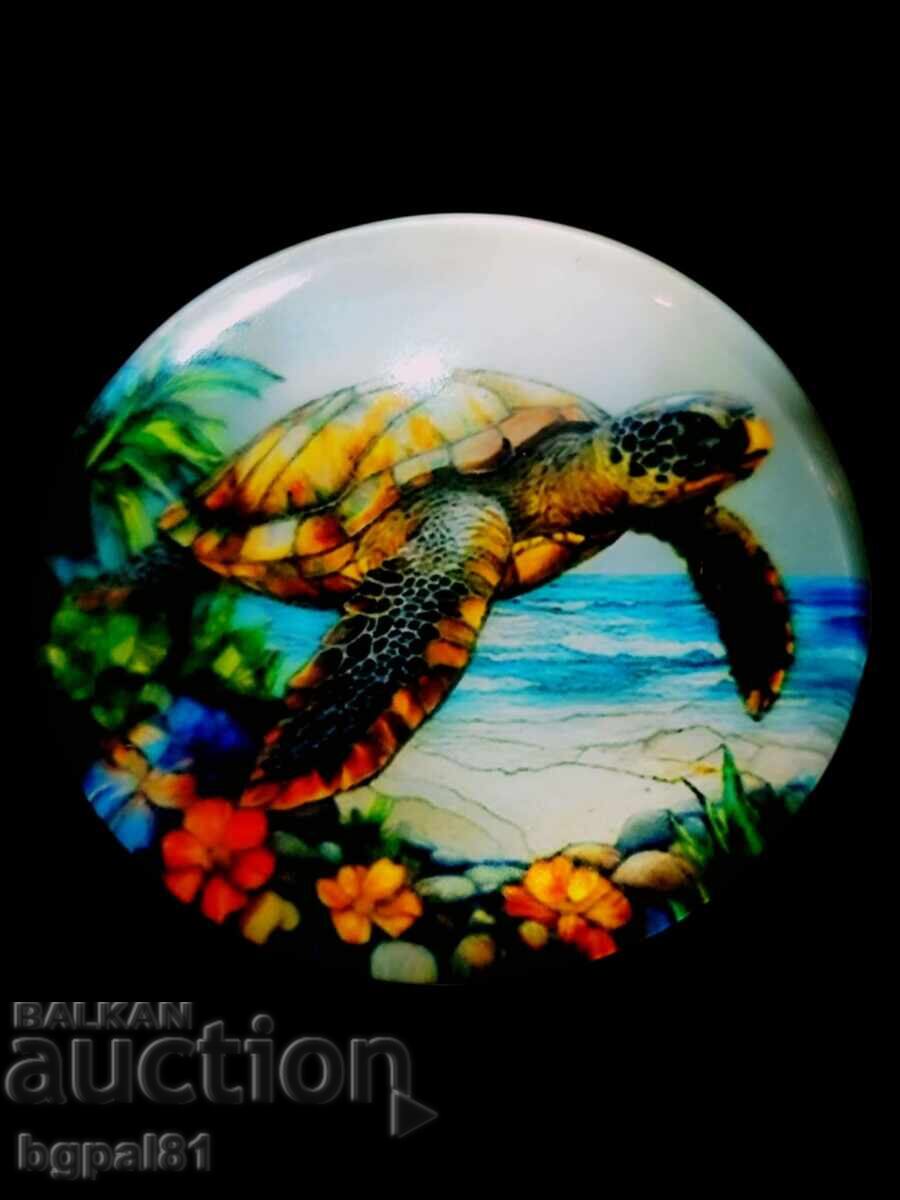  УНИКАЛНИ МАГНИТИ С МОРСКИ КОСТЕНУРКИ  - 6