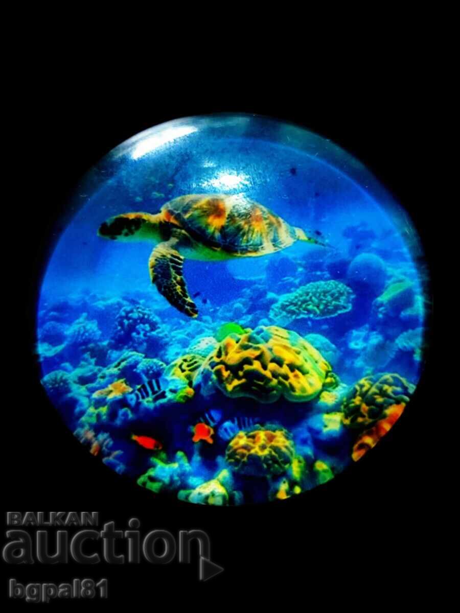  УНИКАЛНИ МАГНИТИ С МОРСКИ КОСТЕНУРКИ  - 7