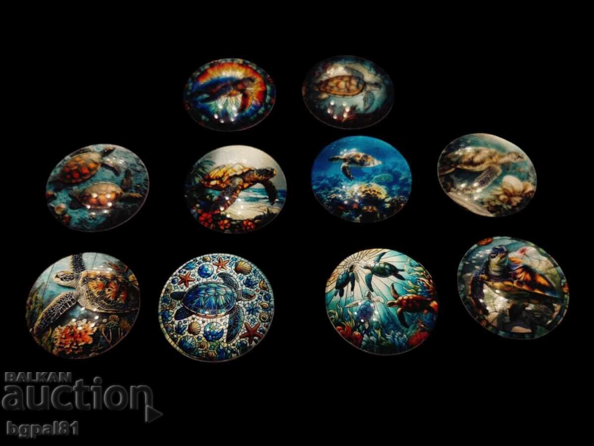  УНИКАЛНИ МАГНИТИ С МОРСКИ КОСТЕНУРКИ 