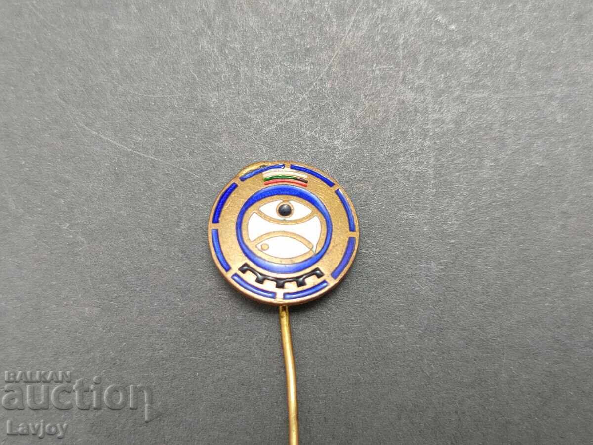 Σπάνια σμάλτινη καρφίτσα Μορsko oko με τιμή 25.00 BGN | € 12.78