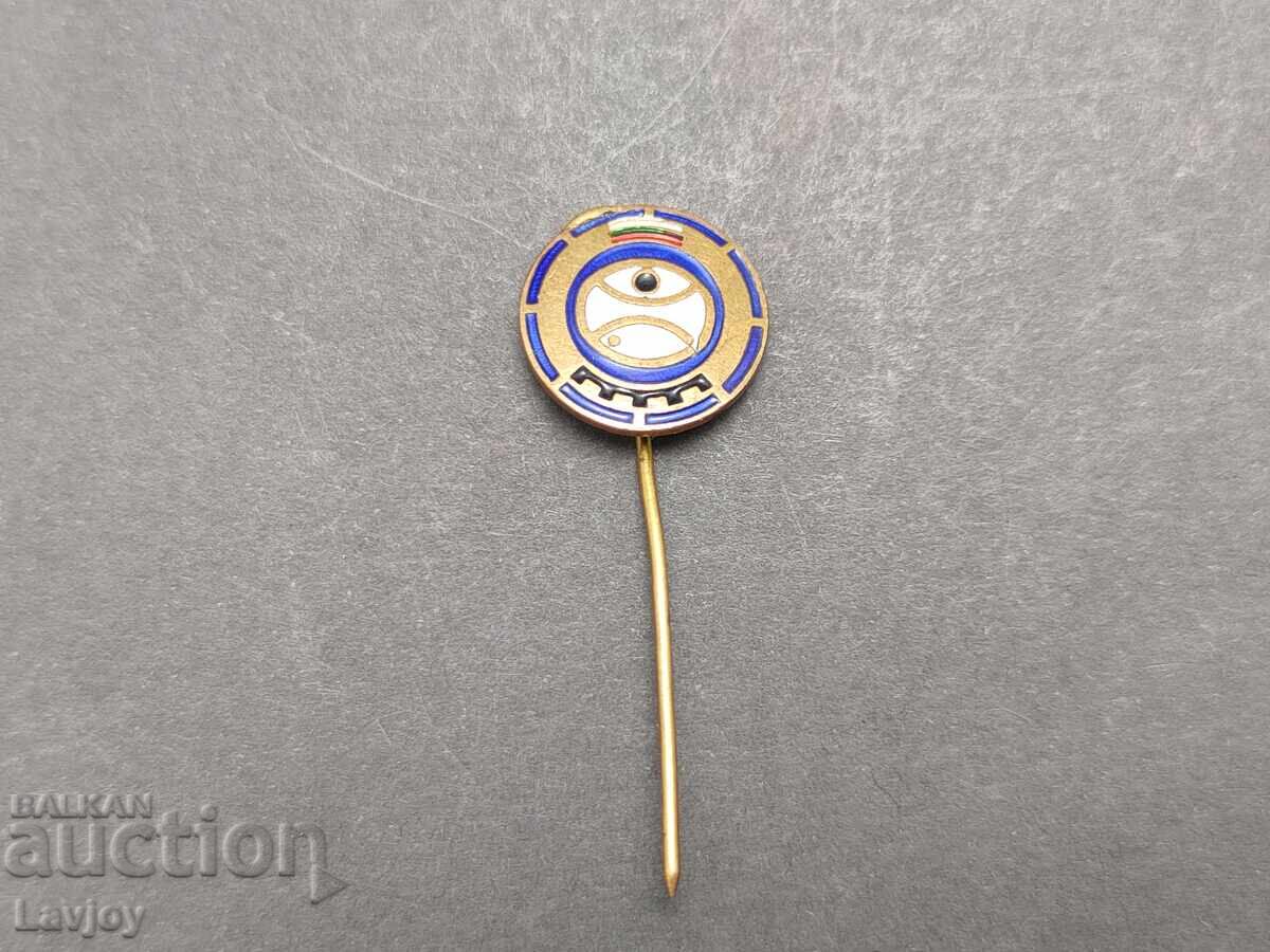 Σπάνια σμάλτινη καρφίτσα Μορsko oko