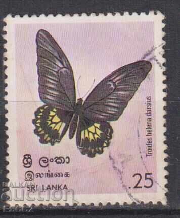 Timbrul poștal timbrat Fauna Fluture 1978 din Sri Lanka Timbrul poștal timbrat Fauna Fluture 1978 din Sri Lanka