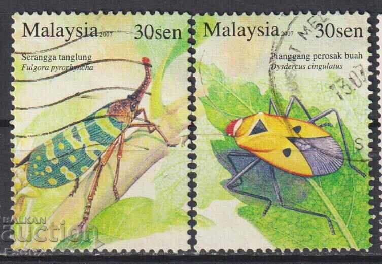 Cancelled stamps Fauna Insects Beetles 2007 from Malaysia Cancelled stamps Fauna Insects Beetles 2007 from Malaysia
