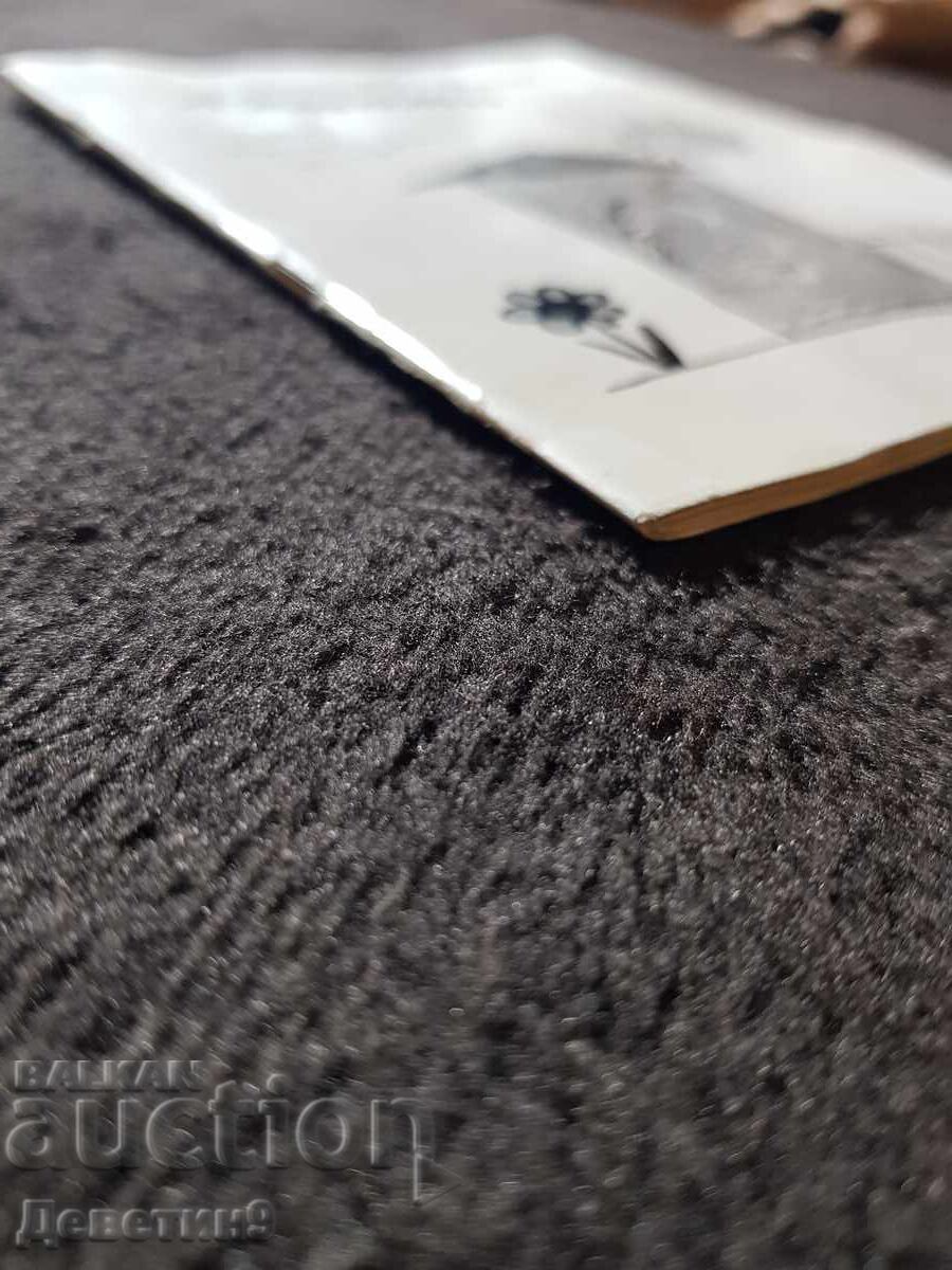 Το Σπίτι - Τάνια Πέντσεβα 1996 - 6