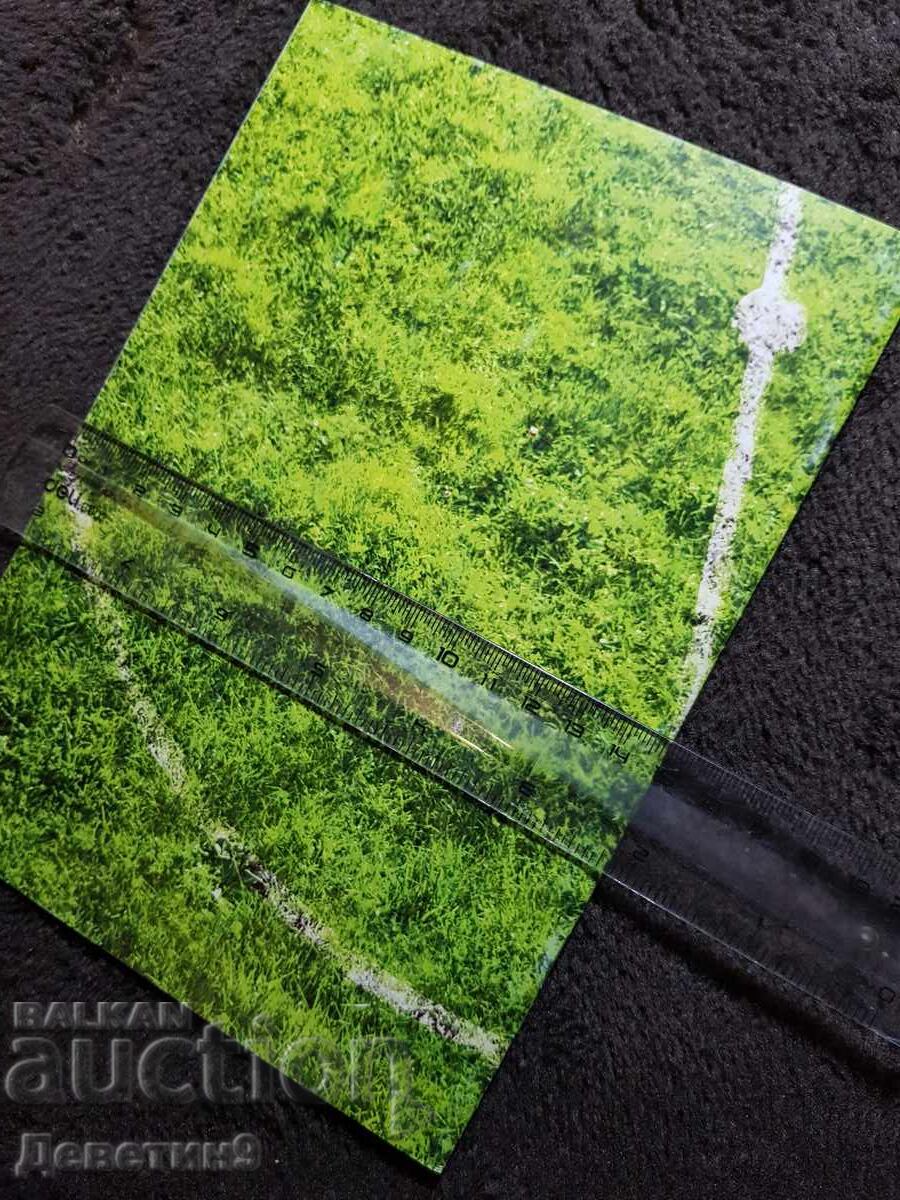 Program - Youth Football Tournament 2013 - 5