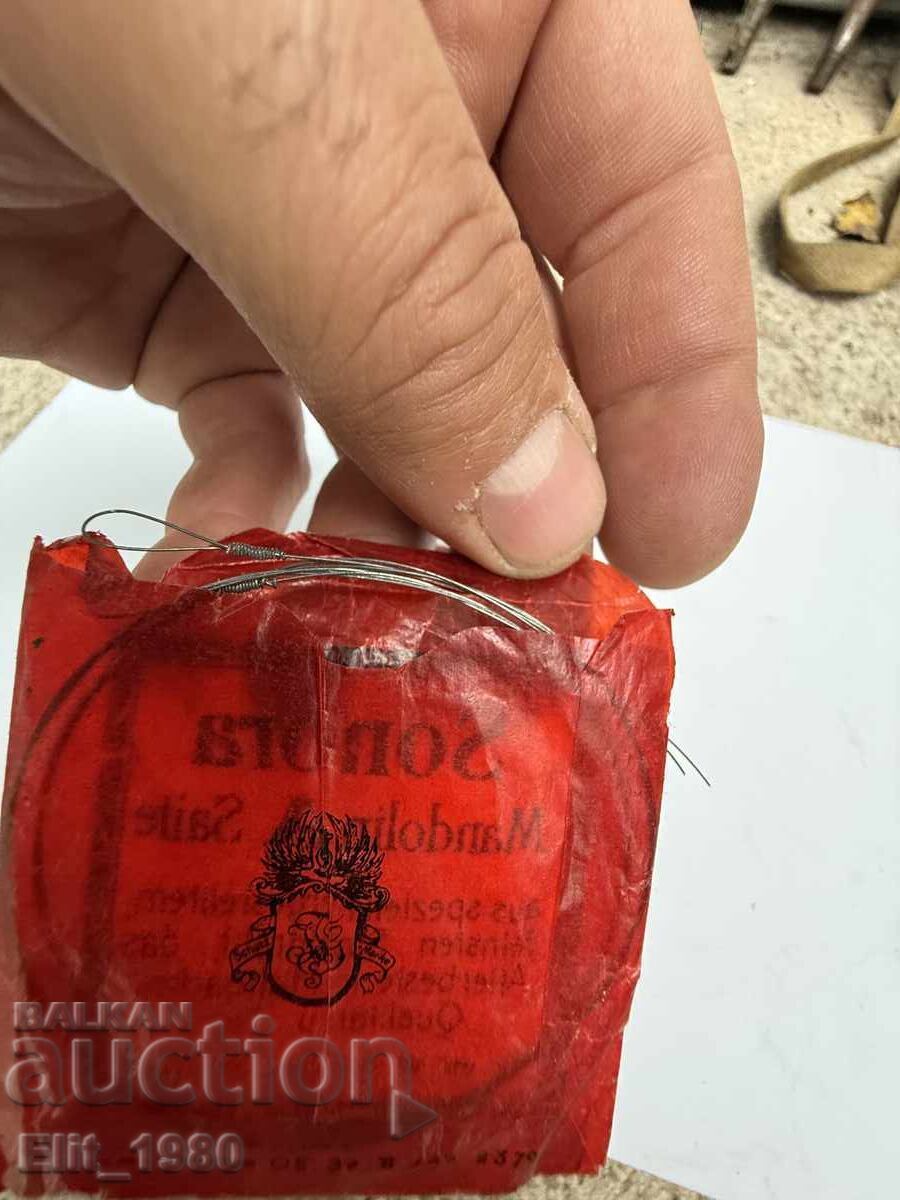 Auction  Mandolin Strings