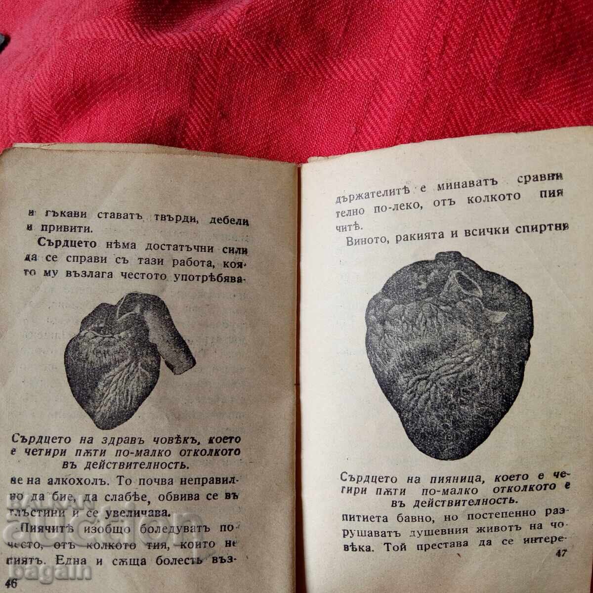 Calendar 1939, Abstinent - 5 Calendar 1939, Abstinent - 5