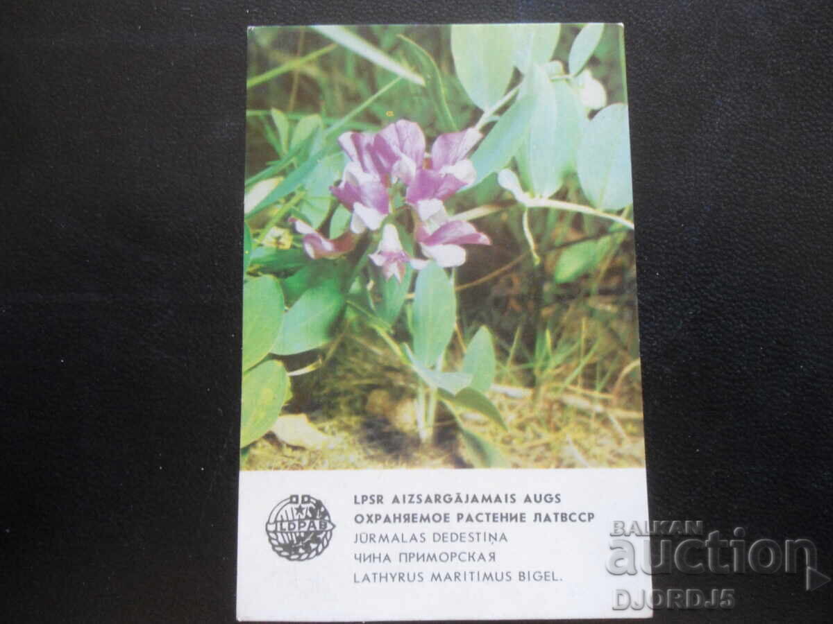 Calendar rusesc vechi, 1984 Calendar rusesc vechi, 1984