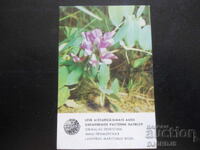 Calendar rusesc vechi, 1984