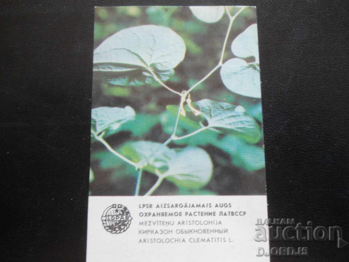 Old Russian calendar, 1984