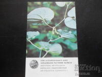 Old Russian calendar, 1984