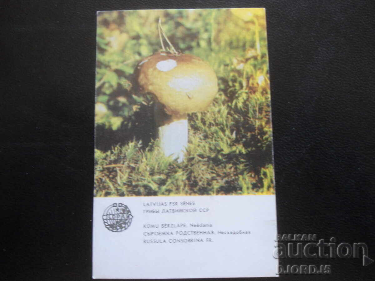 Old Russian calendar, 1986