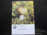 Παλιό ρωσικό ημερολόγιο, 1986