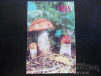 Calendar vechi rusesc, 1985