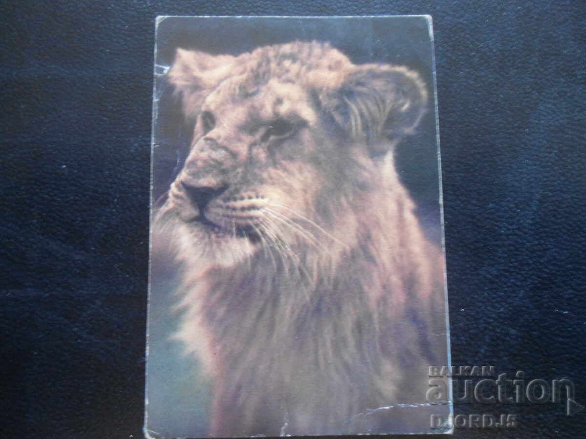 Calendar vechi rusesc, 1984, CIRC