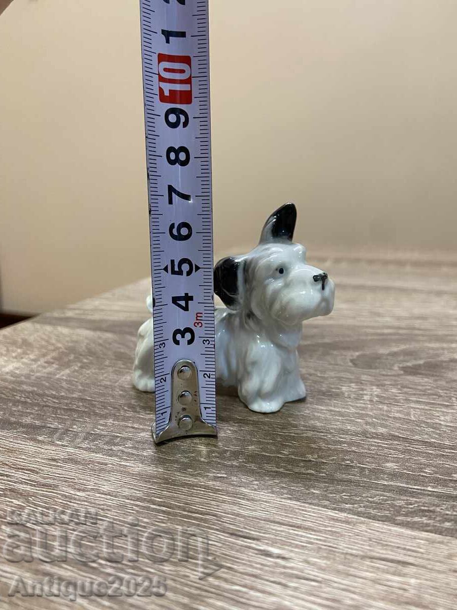 Statuetă veche „Terrierul curios” Germania - 7 Statuetă veche „Terrierul curios” Germania - 7