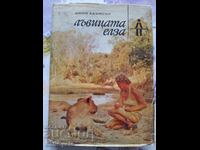 ✅ELSA THE LIONESS - JOY ADAMSON❗