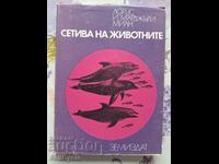 ✅ PETS NETWORK - LORUS AND MARJORIE MILLY!