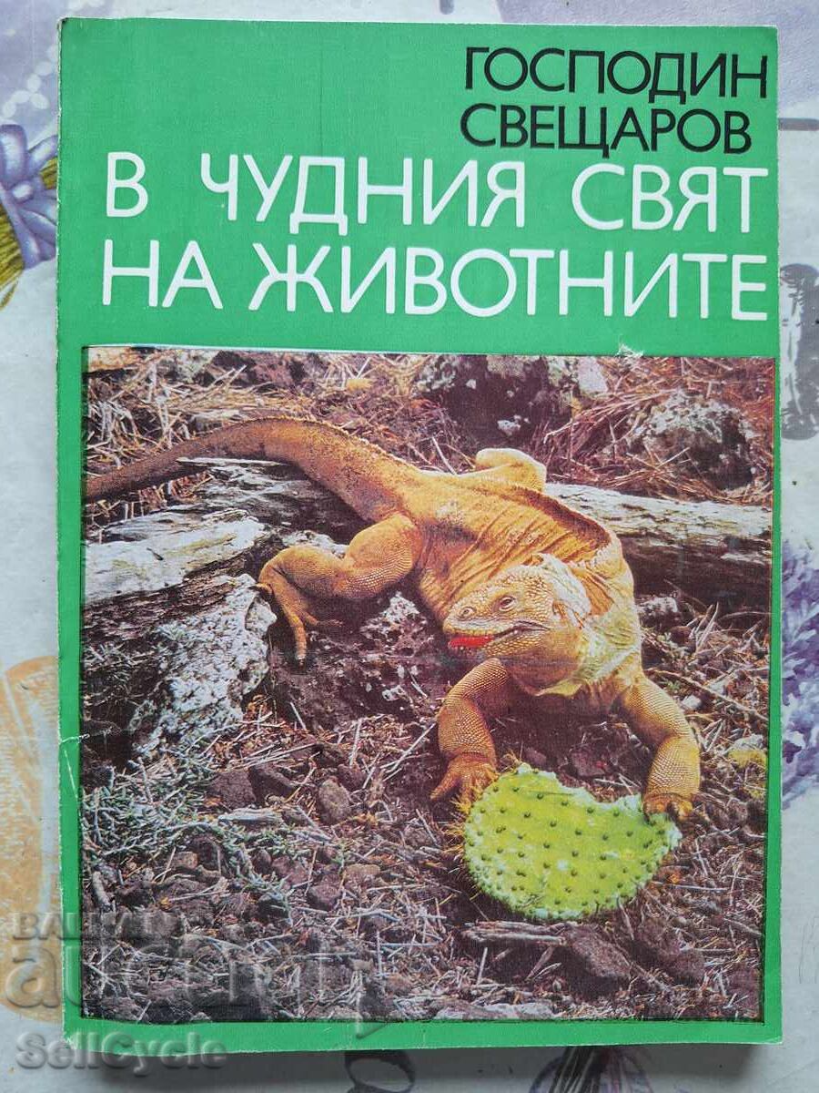 ✅IN THE WONDERFUL WORLD OF ANIMALS - MR. SVESHTAROV!