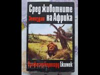 ✅AMONG THE ANIMALS IN AFRICA - BERNHARD GRZIMEK❗