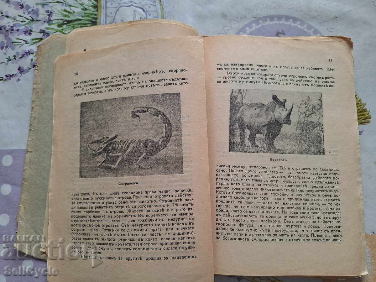 Auction  ✅FIGHT FOR LIFE IN NATURE - V.V. LUNKEVICH❗