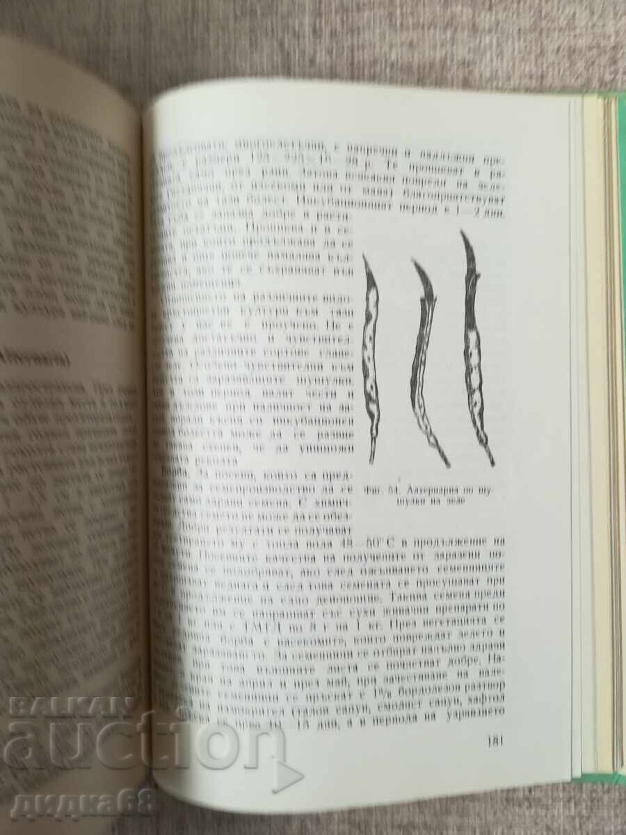 Delivery of Diseases and Pests of Vegetable Crops Delivery of Diseases and Pests of Vegetable Crops